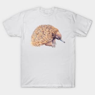 Echidna watercolor - Australian animal T-Shirt